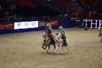 Quadrille - 00348